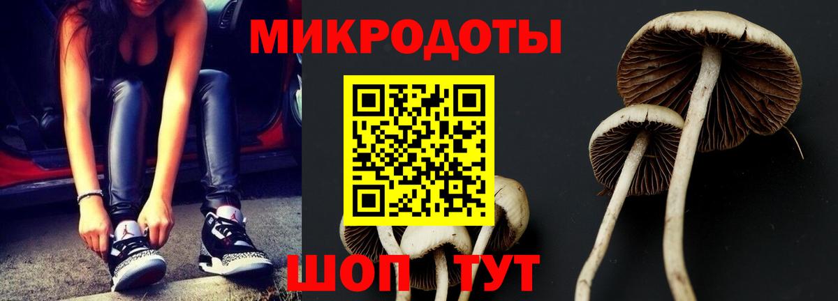 цены   Вход с VPN  Избербаш  Галлюциногенные грибы Psilocybe 
